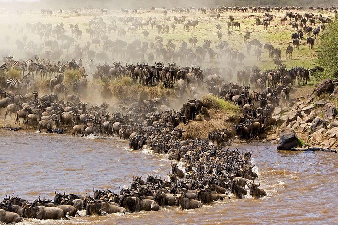 11 Days / 10 Nights Join Group Safari - Meeting and Pickup Information