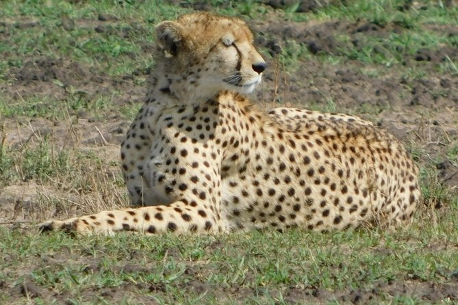 11 Days Fastisnation Africa - Cancellation Policy Overview