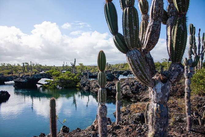 12 Days Exploring Galapagos Santa Cruz- Isabela - San Cristobal - Travel Tips and Recommendations