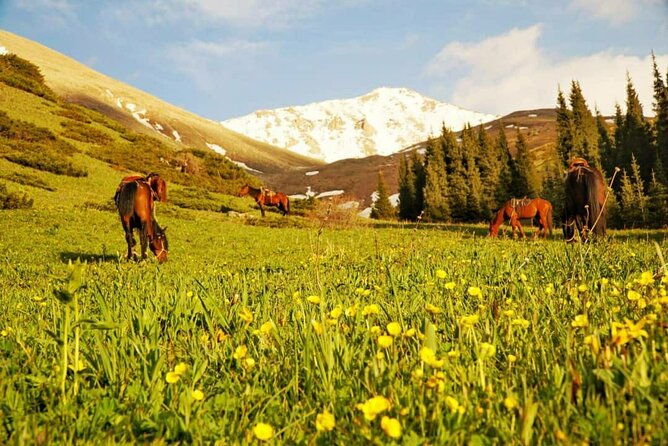 12-Days Horseback Riding Tour in a Small Group in Kyrgyzstan - What to Expect and Fitness Level