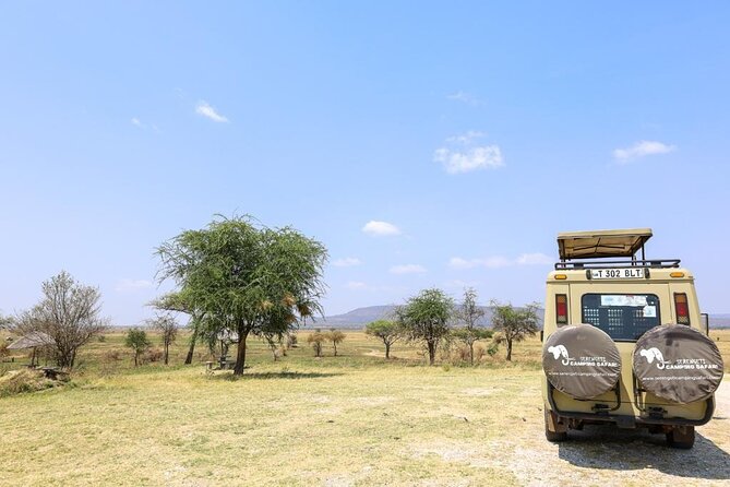 12 Days: Mt. Kilimanjaro and Safari - Accommodation and Meals