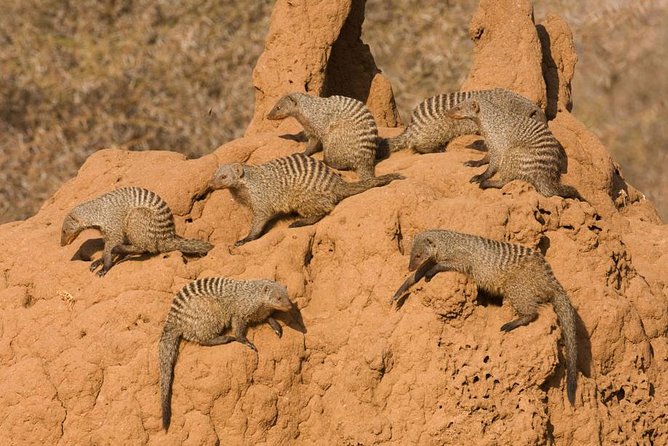 13 Days/ 12 Days Private Group Safari. - Cancellation Policy Overview