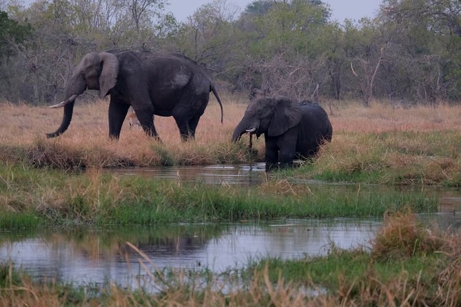 14 Day Elephant Tracking Botswana - Inclusions and Activities