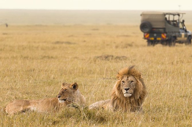 16 Day Great Adventure Kenya - Tanzania Clasic Safari (MINIMUM 2 PAX) - Transportation and Logistics