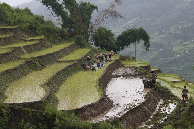 16 Days Amazing Bhutan From East to West - The Sum Up