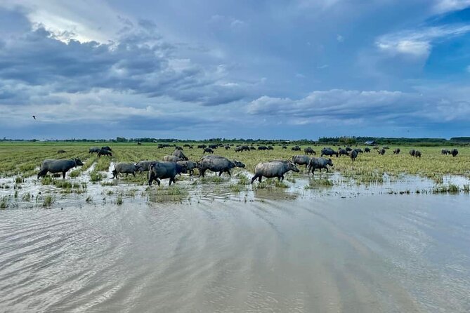 2 Day -Angkor Wat Day Tour and Siem Reap Countryside Tour by Bike - What to Expect