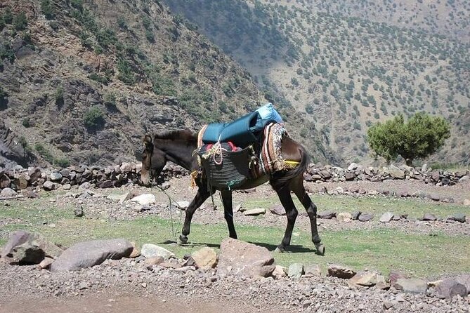 2 Day Berber Villages Trek From Marrakech - Pickup and Accessibility