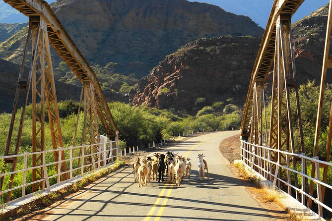 2-Day Calchaquí Valley Tour to Cachi and Cafayate - Wine Tasting Experience