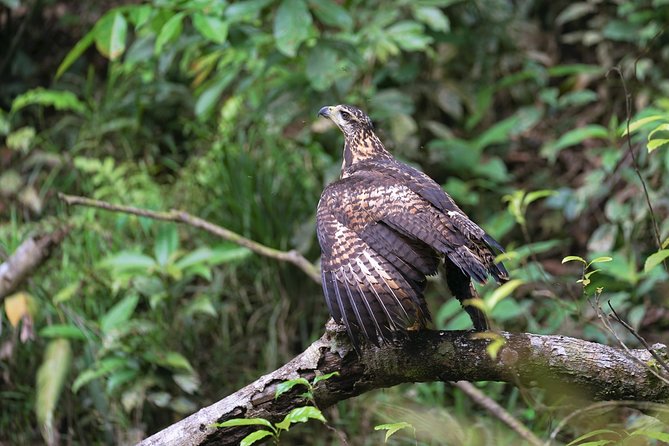2-Day Camping Tour to Pacaya-Samiria National Park From Iquitos - Booking Information