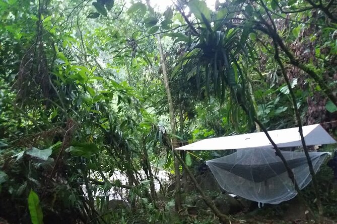 2-Day Forest Survival and Nature Course in Luang Prabang - Itinerary Details