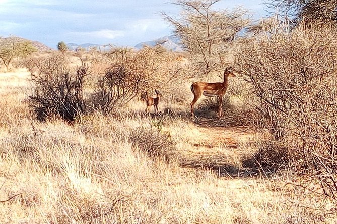2-Day Private Guided Safari of Lake Nakuru Park From Nairobi - Booking and Cancellation Policies