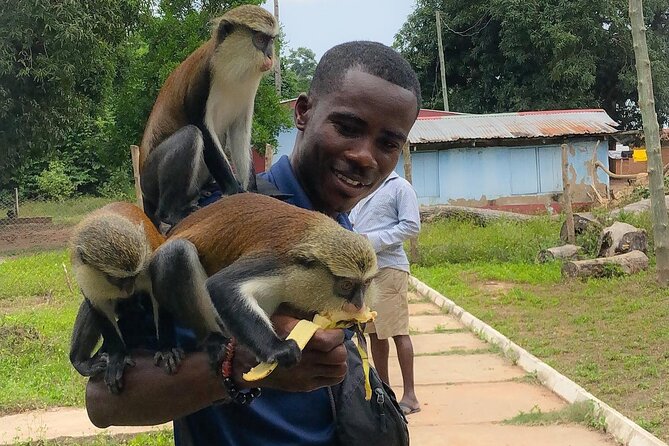 2-Day Private Waterfalls and Monkey Sanctuary in Eastern Ghana - Additional Information