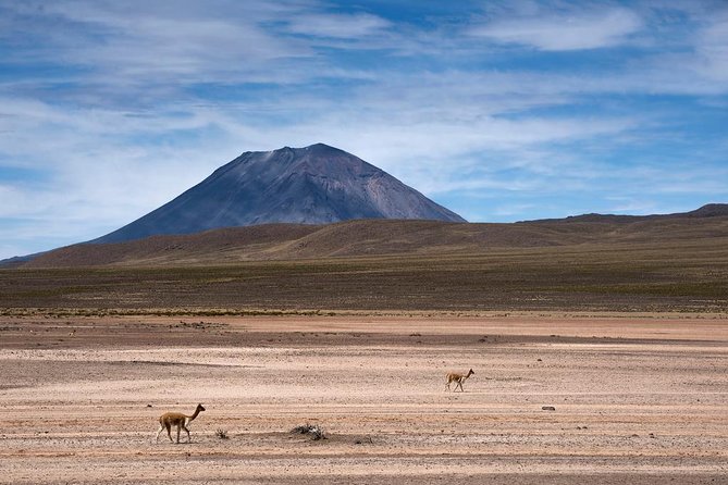 2 - Day Tour To Colca Canyon From CUSCO - Exclusions to Consider
