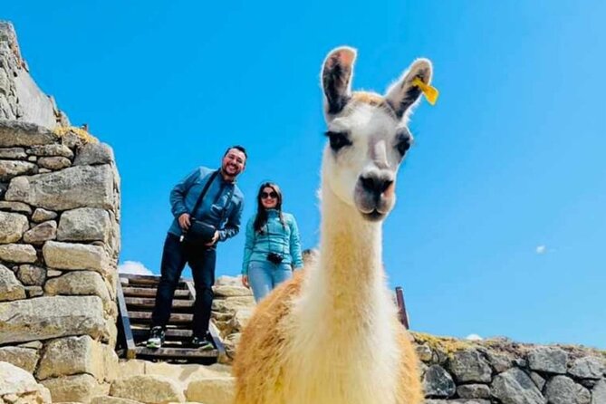 2-Day Tour to Maras, Moray, and Machu Picchu From Cusco - Reviews and Ratings