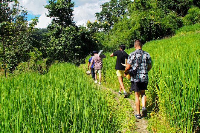 2 Days 1 Night Eco Trekking to the White Pakayaw Village - Free Cancellation
