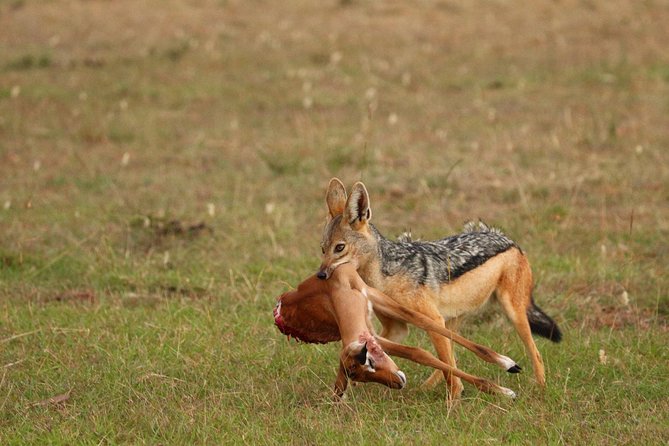 2 Days 1 Night Lake Nakuru National Park Tour - Pricing and Availability
