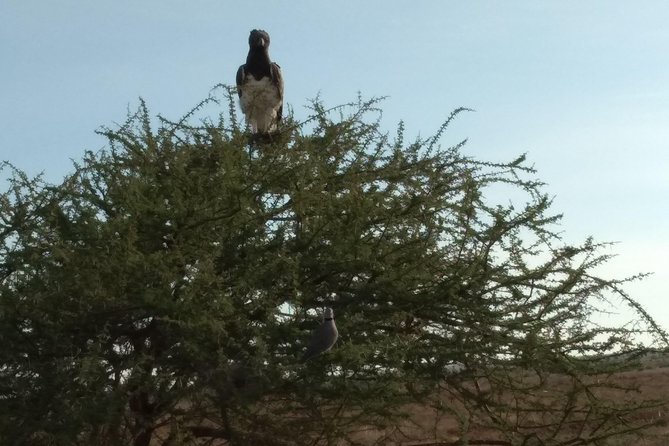 2 Days 1 Night Saltlick Taita Hills - Transportation Arrangements