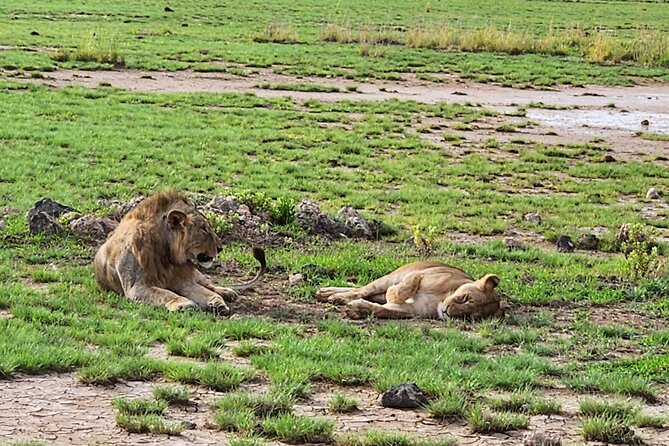 2 Days Amboseli Express Deluxe Tours - Directions