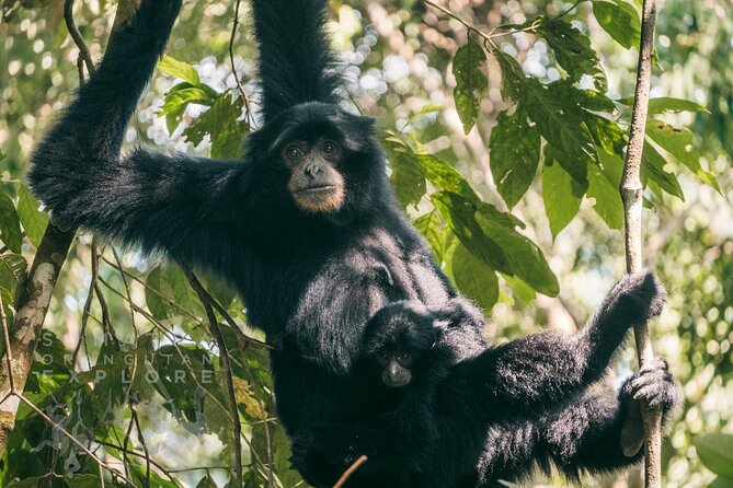 2 Days and 1 Night Ethical Jungle Trek - The Sum Up
