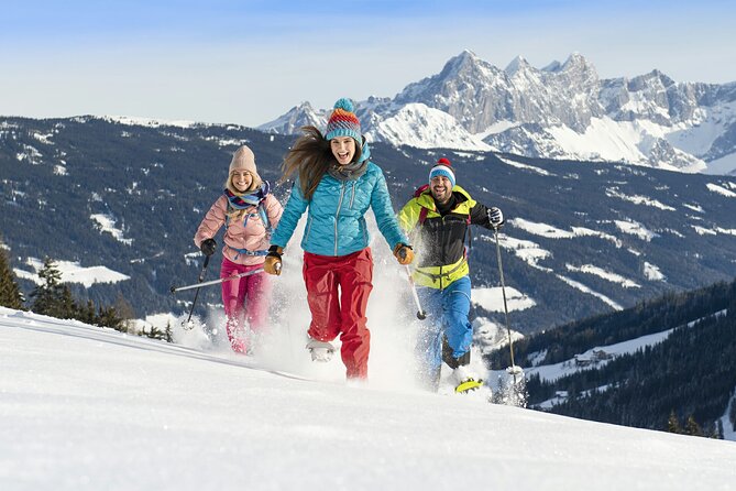 2 Days Austrian Alps Skiing Private Tour From Vienna to Flachau - Tour Assistance and Flexibility