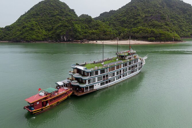 2 Days Cruise Tour in Halong Bay From Halong - Operator Information
