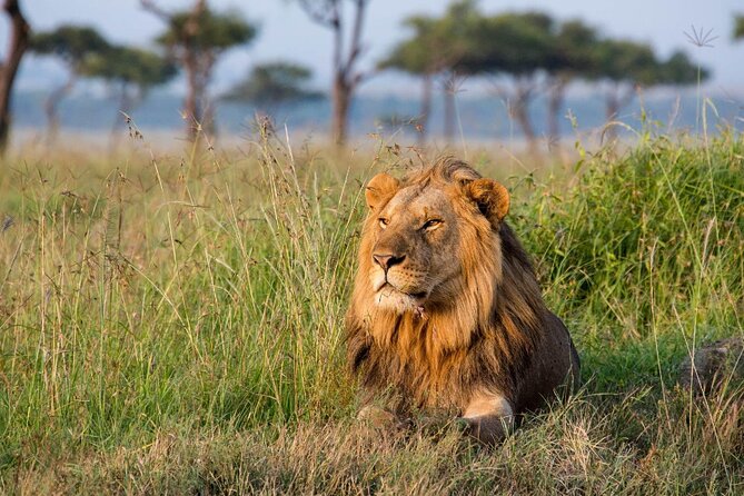 2 Days Maasai Mara National Reserve Private Safari From Nairobi - Departure and Return Details