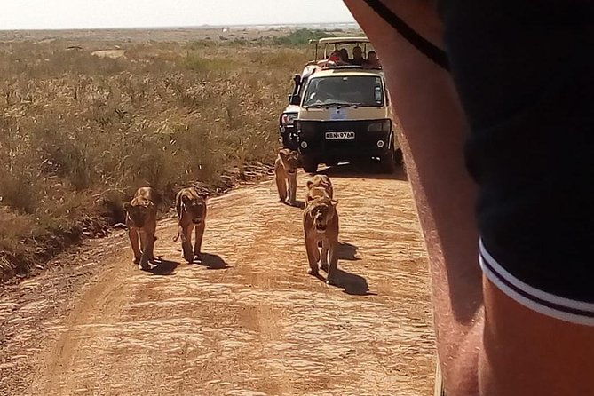 2-Days Mikumi National Park Safari - Safari Itinerary