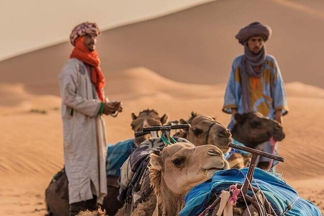 2 Days Private Luxury Tour to Merzouga Desert From Fez - What to Expect