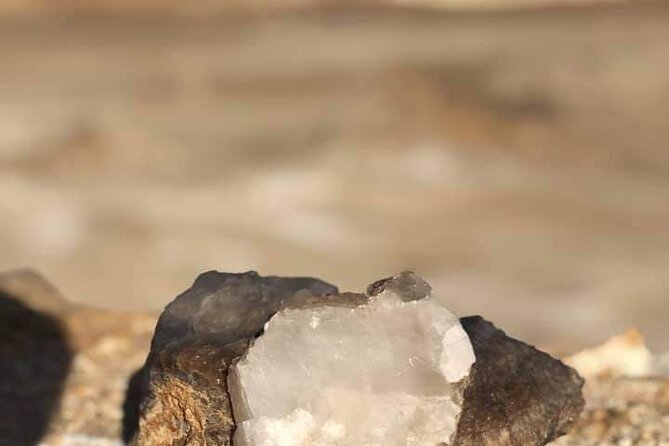 2-Days Safari & Camping Tour at White Desert & Bahariya Oasis - Transportation Details