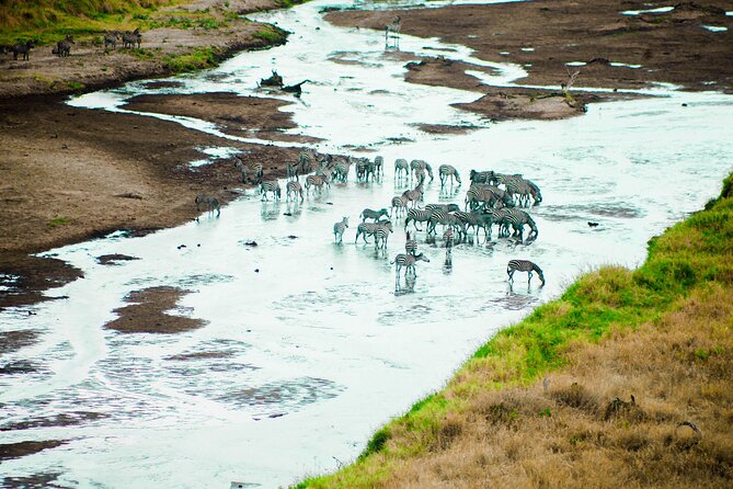 2 Days Safari to Ngrongoro Crater and Trangeri From Znzibar - Pickup Details