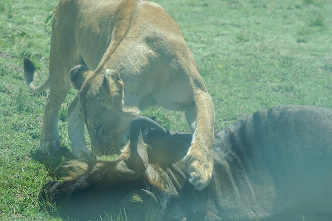 2 Days Safari To Queen Elizabeth National Park Uganda - Safari Itinerary Overview