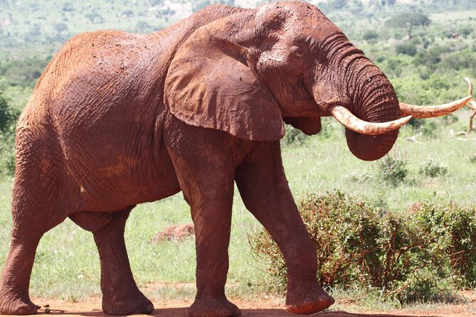 2 Days Taita Hills Conservancy Tour - Inclusions and Exclusions