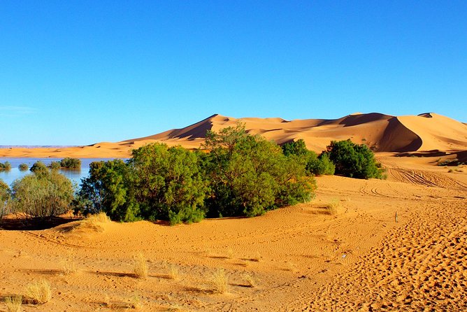 2 Days Tour From Marrakech to Merzouga Sahara Desert - Inclusions and Exclusions