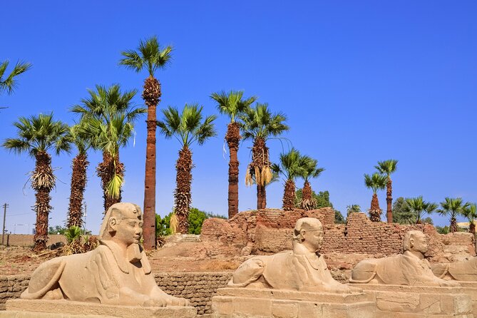 2 Days Tour to Cairo & Luxor From Marsa Alam by Flight - Inclusions and Exclusions