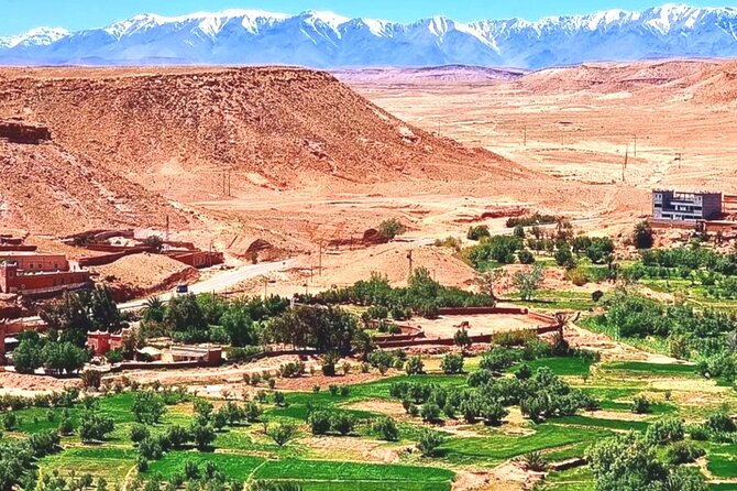 2 Days Tour to Fint Oasis and Route Of 1000 Kasbahs In Ouarzazate - Meeting Point Details