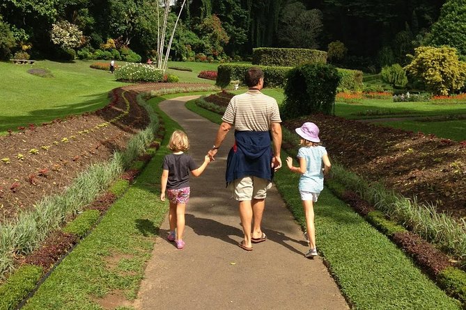 2 Days Tour to Kandy Nuwara Eliya & Horton Plains From Negombo - Additional Guidance and Recommendations
