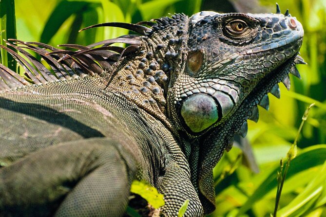 2 Hour ATV Experience From Guanacaste - Cancellation Policy