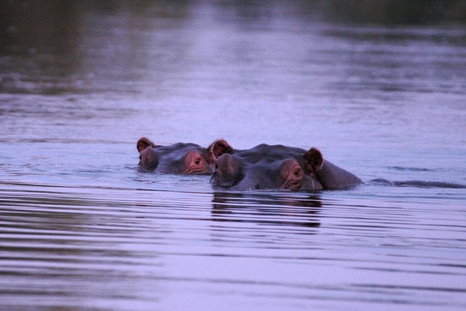 2 Hours Sunset Cruise Along the Zambezi River - Meeting Point and Start Time