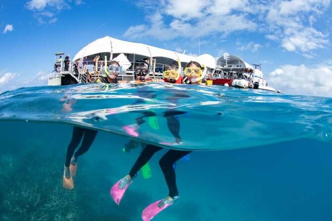 2 Hours Underwater Life in a Semi Submarine From Marsa Alam - Additional Services