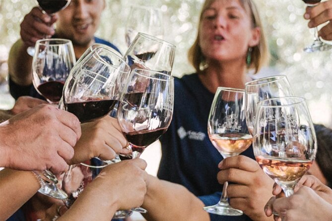 2 Wineries +1 Manufactures Oil With Lunch and Transportation Included. - Tour Restrictions