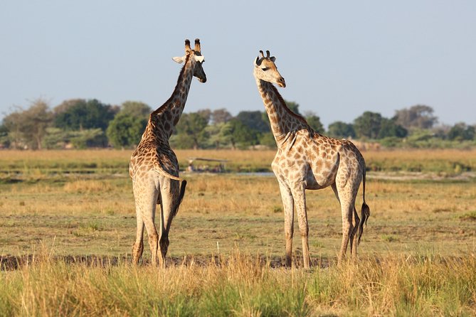 20 Days Love of Africa - Refund and Cancellation Policy