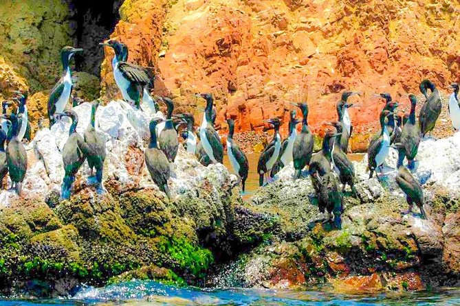 2d1n Paracas + Ica + Accommodation - Accommodation Options