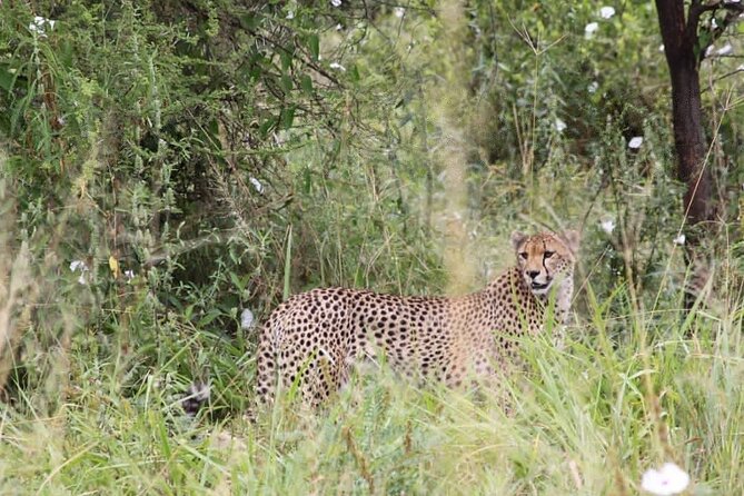 3-Day Camping Tour for Tarangire, Manyara & Ngorongoro From Arusha - Directions to Meeting Point