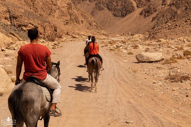 3-Day Horseback Riding Expedition in the Sinai Desert - Safety and Health Guidelines