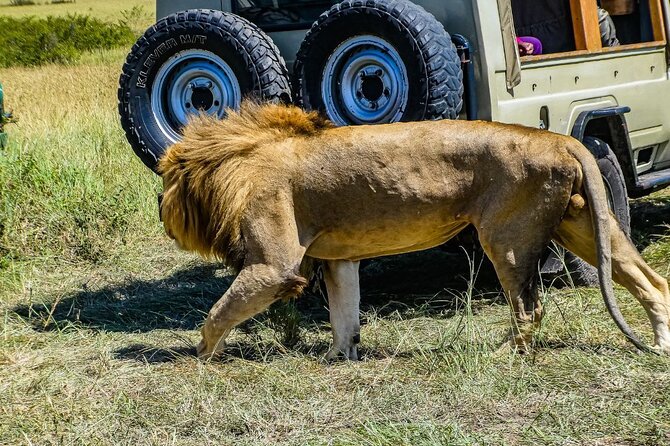 3-Day Masai Mara Migration Small Group Guided Safari From Nairobi - Cultural Experiences