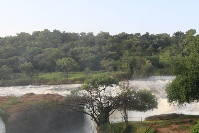 3-Day Moderately Priced Murchison Falls Park Wildlife Safari - Pricing and Refund Policy
