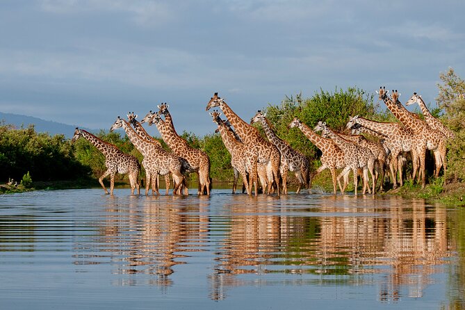 3 Day Nyerere NP Safari Adventure From Zanzibar to Selous - Day 3: Nyerere NP to Selous