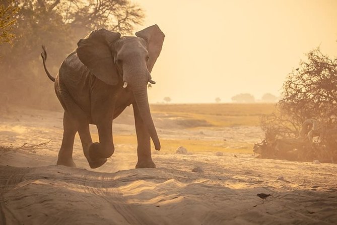 3-Day Okavango Delta & Boteti River Tented Safari - Pricing Information