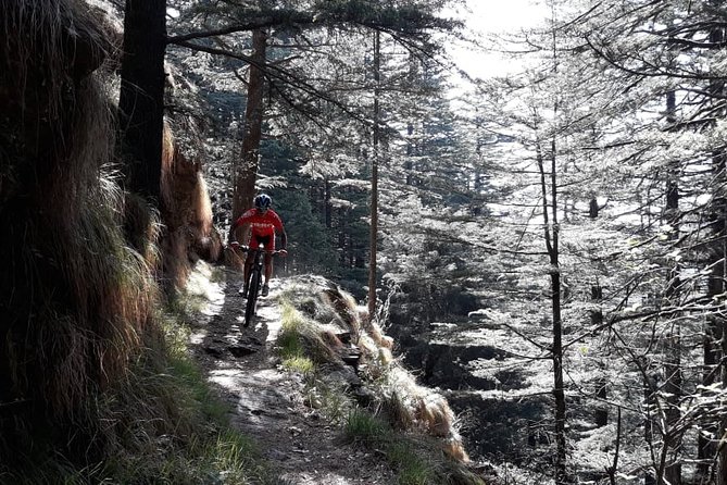 3-Day Private Mountain Bike Camp in Shimla - Directions