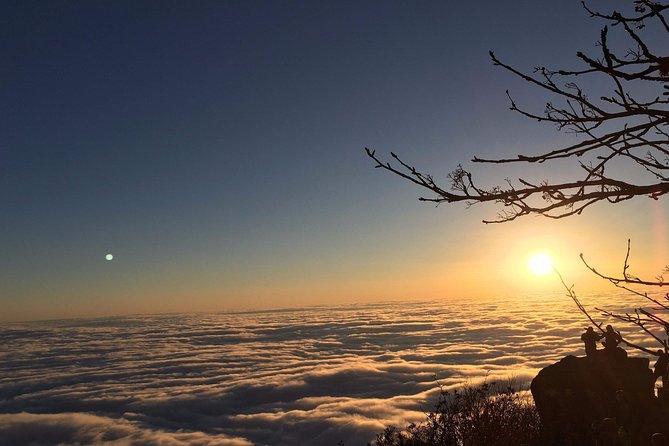 3-Day Private Tour to Chengdu, Leshan and Overnight in Top of Mount Emei - Day 1: Chengdu Exploration